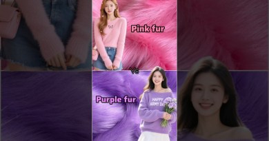 Pink Fur 🩷 vs Purple Fur 💜 #fashion #ytshorts