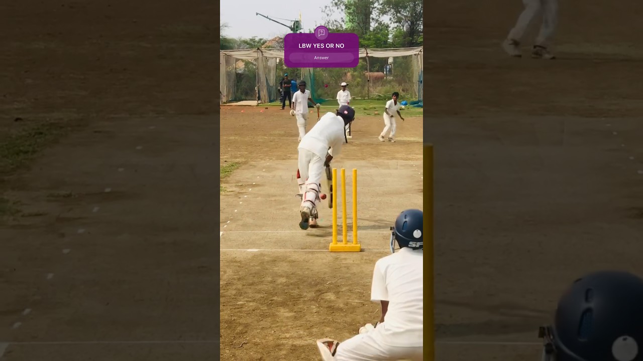 Cricket shots video #viralshorts #trending #cricket #youtubeshorts #t20worldcup #viratkohli #insta