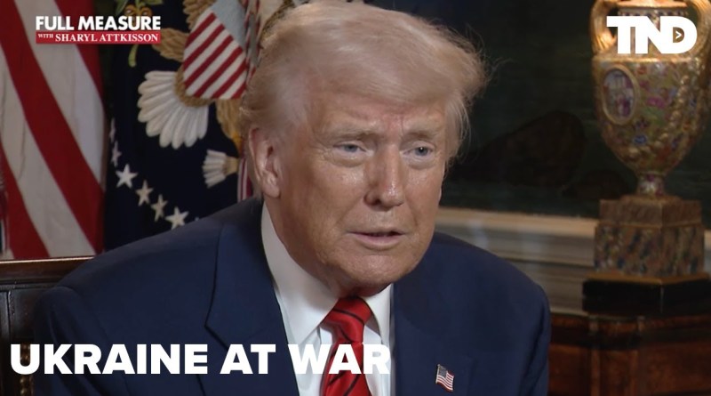 President Trump: 'Bad news for this world' if Putin doesn't agree to a ceasefire
