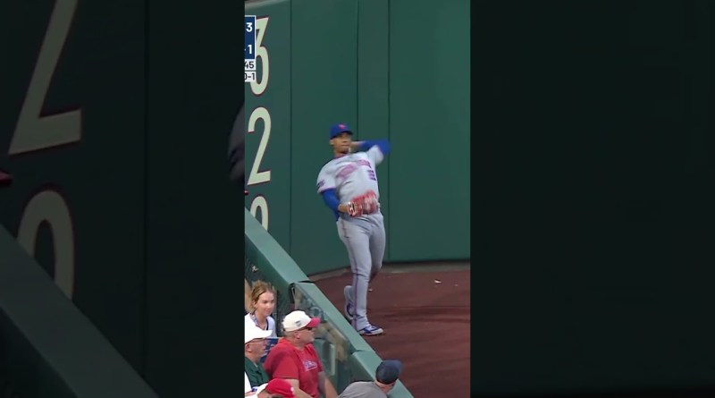 Juan Soto makes the sliding catch 🙌 #mets #mlb #baseball #sports #highlights #baseballszn