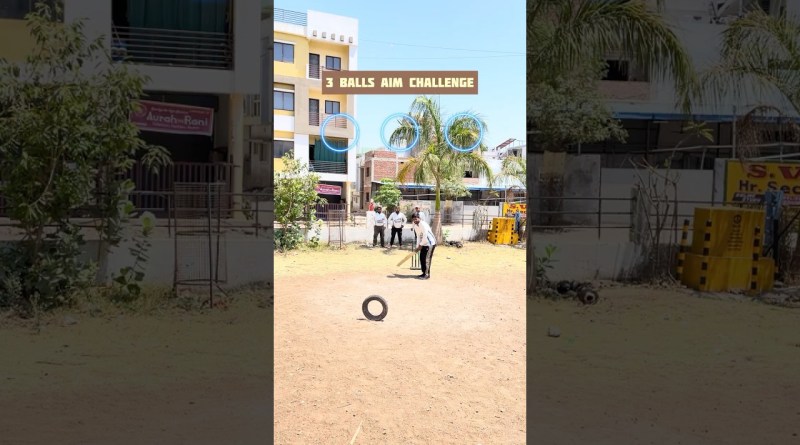 3 Balls Aim Challenge Part-2 #cricket #cricketlover #challenge #sports #viral