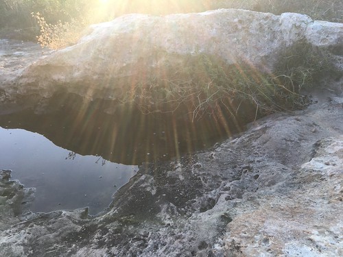 SmellyBlog: Solstice & Light