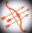 Essex Arrows