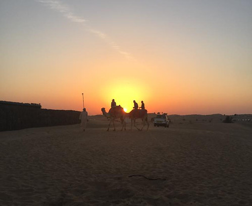 Is a Dubai Desert Safari Worth the Money? Exploring the Red Dunes, ATV Adventures, Camel Rides, and Stargazing