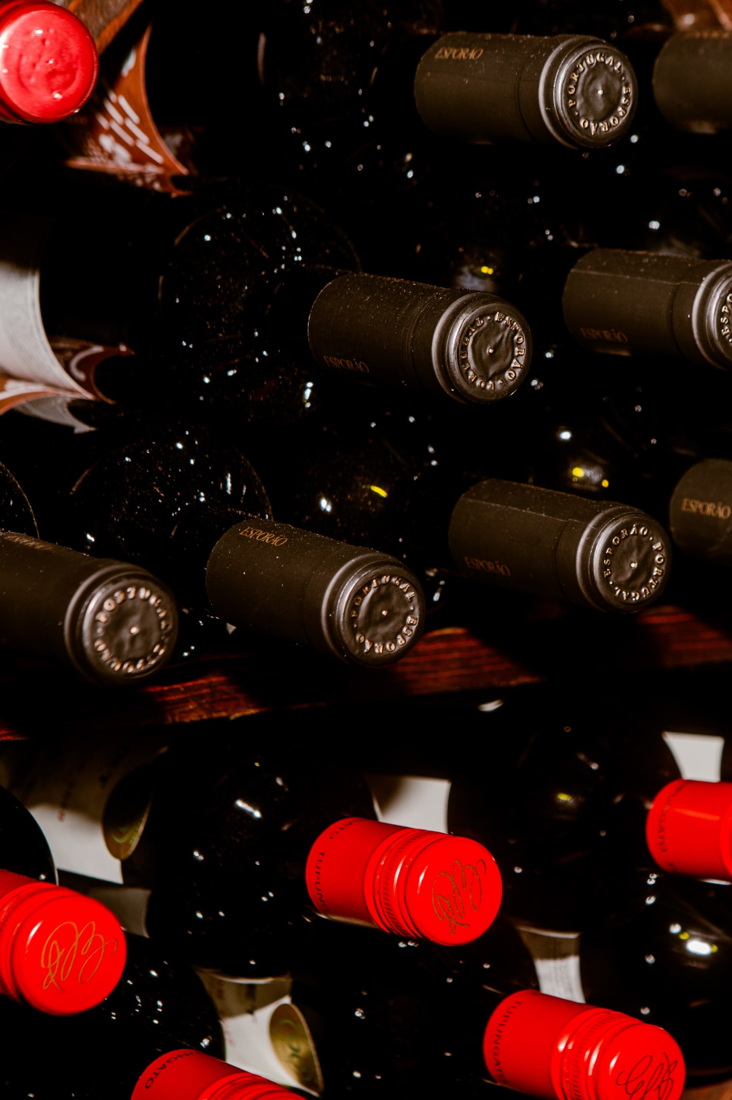 Ola Restaurant Menu Orange