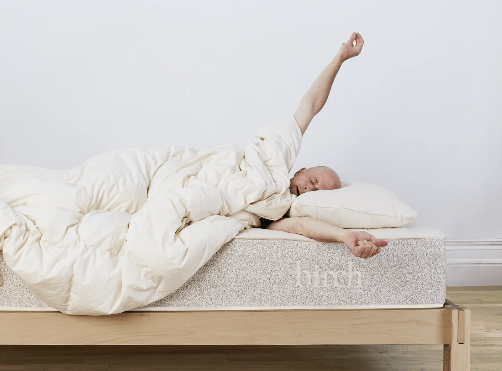 Birch Organic Eco Friendly Pillow Best Organic Cotton Pillow Birch