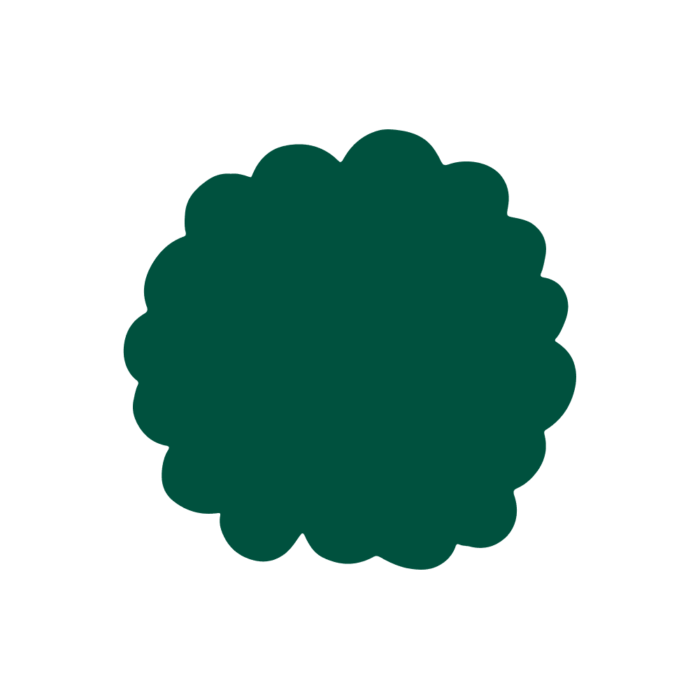 Birch Organic Eco Friendly Pillow Best Organic Cotton Pillow Birch