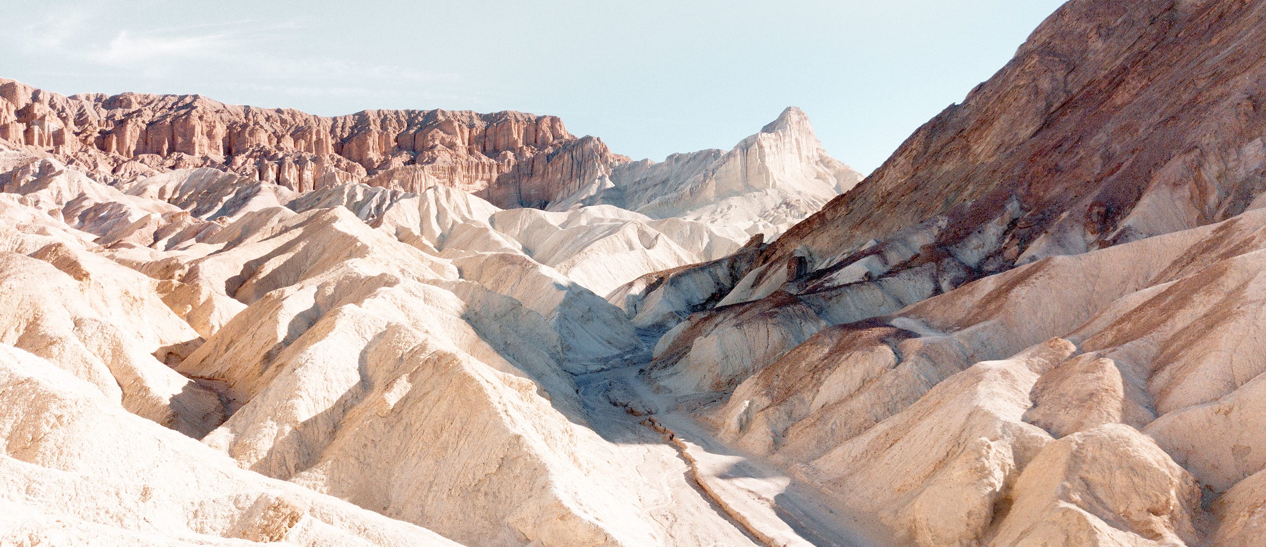 Birch Organic Eco Friendly Pillow Best Organic Cotton Pillow Birch