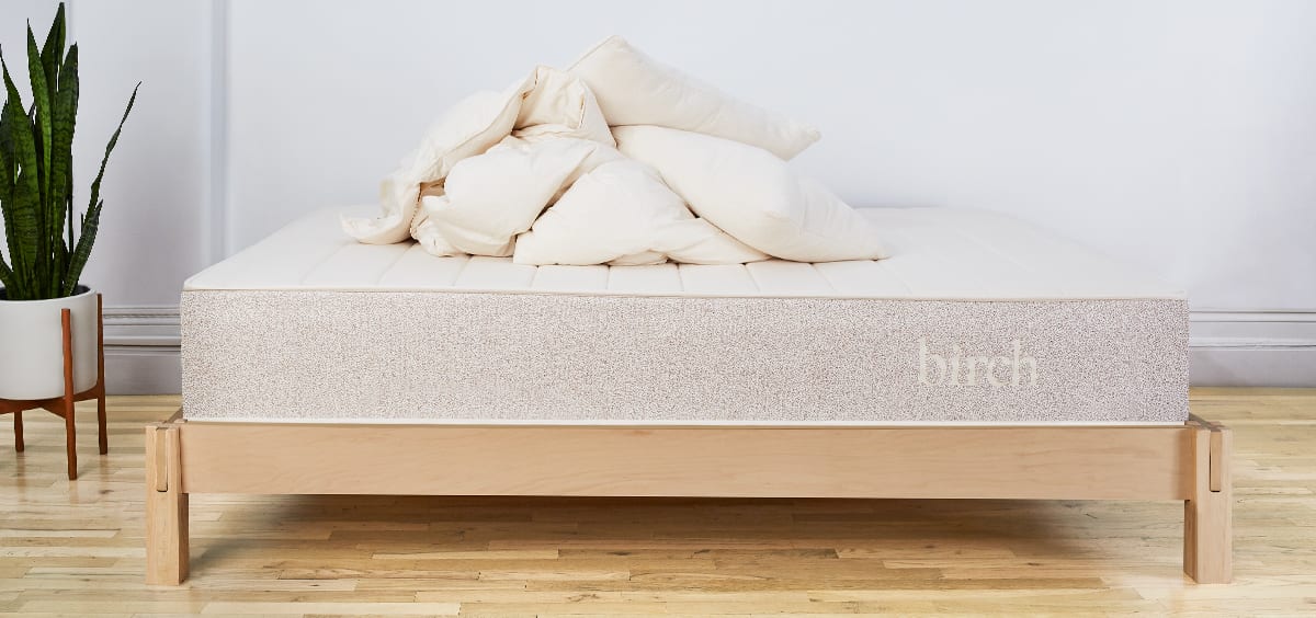 Birch Organic Eco Friendly Pillow Best Organic Cotton Pillow Birch