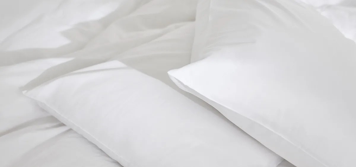 Organic Cotton Pillowcase Set White Birch