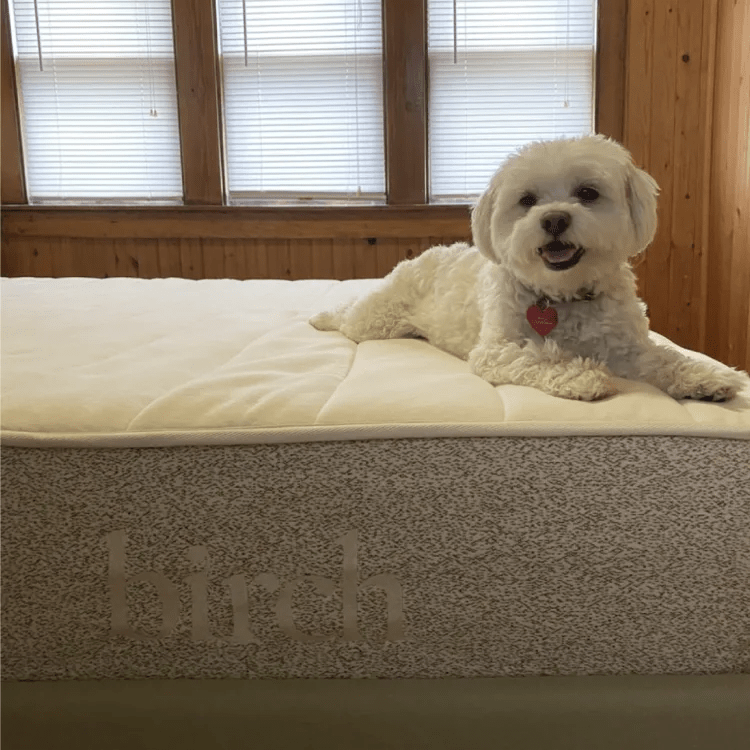 Birch Natural Mattress Birch