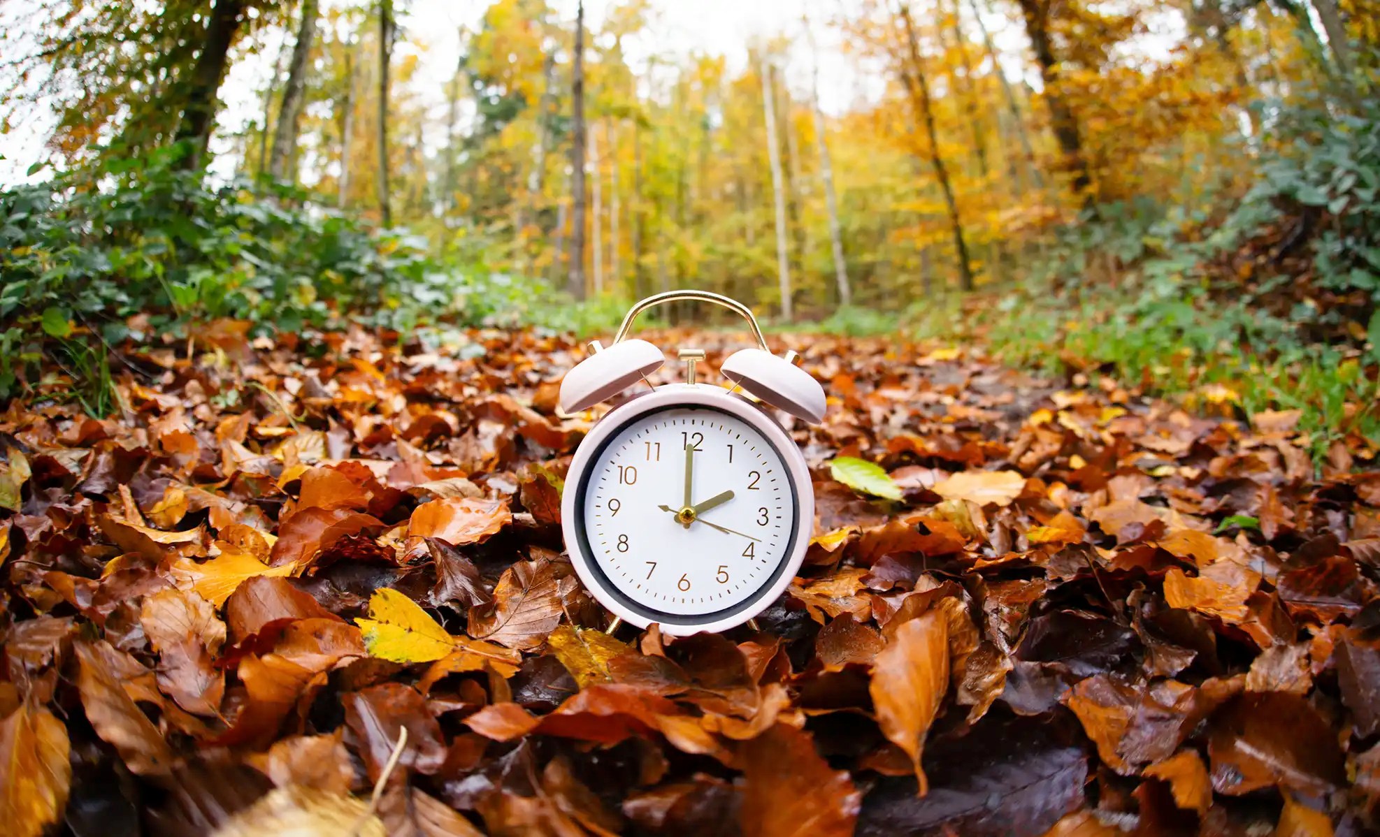 How to Adjust to Daylight Saving Time Like a Pro HMG Health Matters Blog