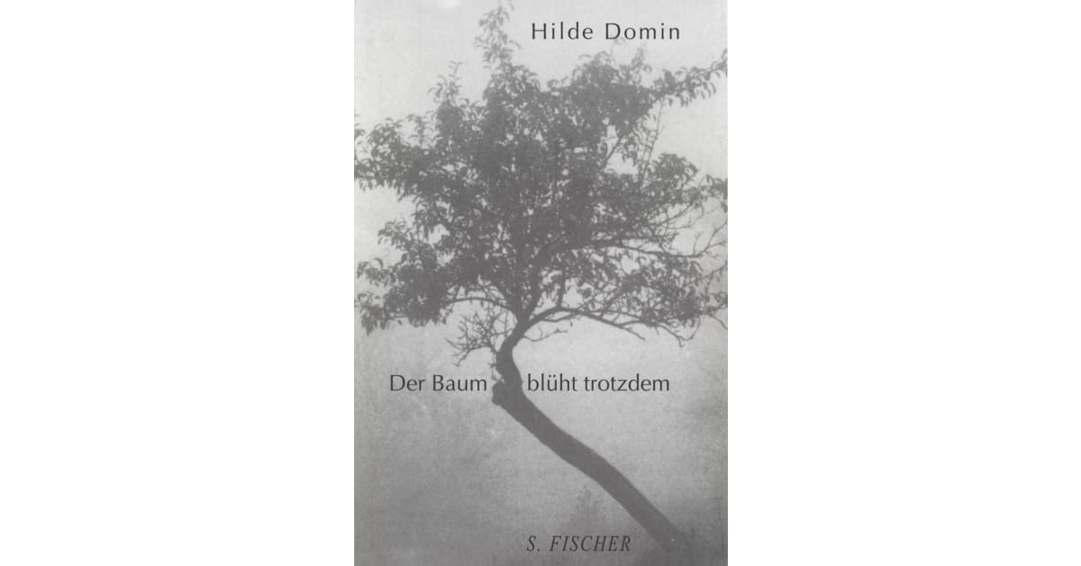 Der Baum blüht trotzdem Hilde Domin S. Fischer Verlage