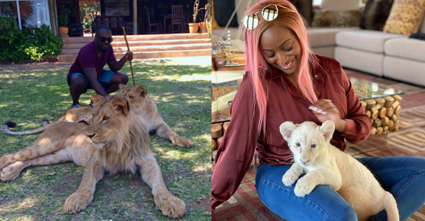 7 Celebrities Who Keep Wild Animals as Pets (Photos). Petlife