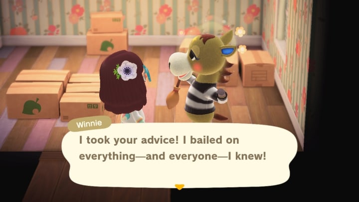 Ranking My 'Animal Crossing' Villagers