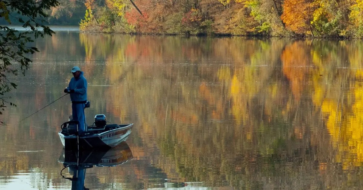 Lakelink Find A Lake And Find Your Fishing Spot