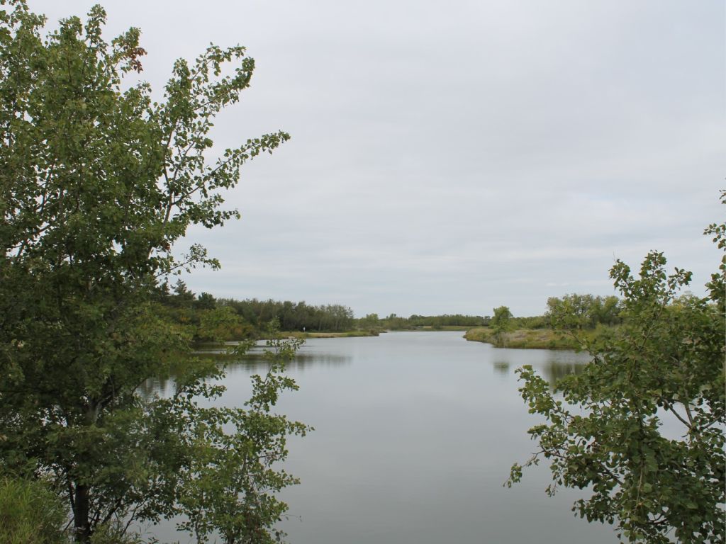 Black Nugget Lake Campground