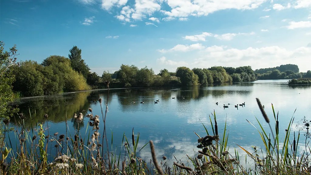 Kingsbury Water Park 10K & 5K 2020 5k in Sutton Coldfield, UK — Let’s