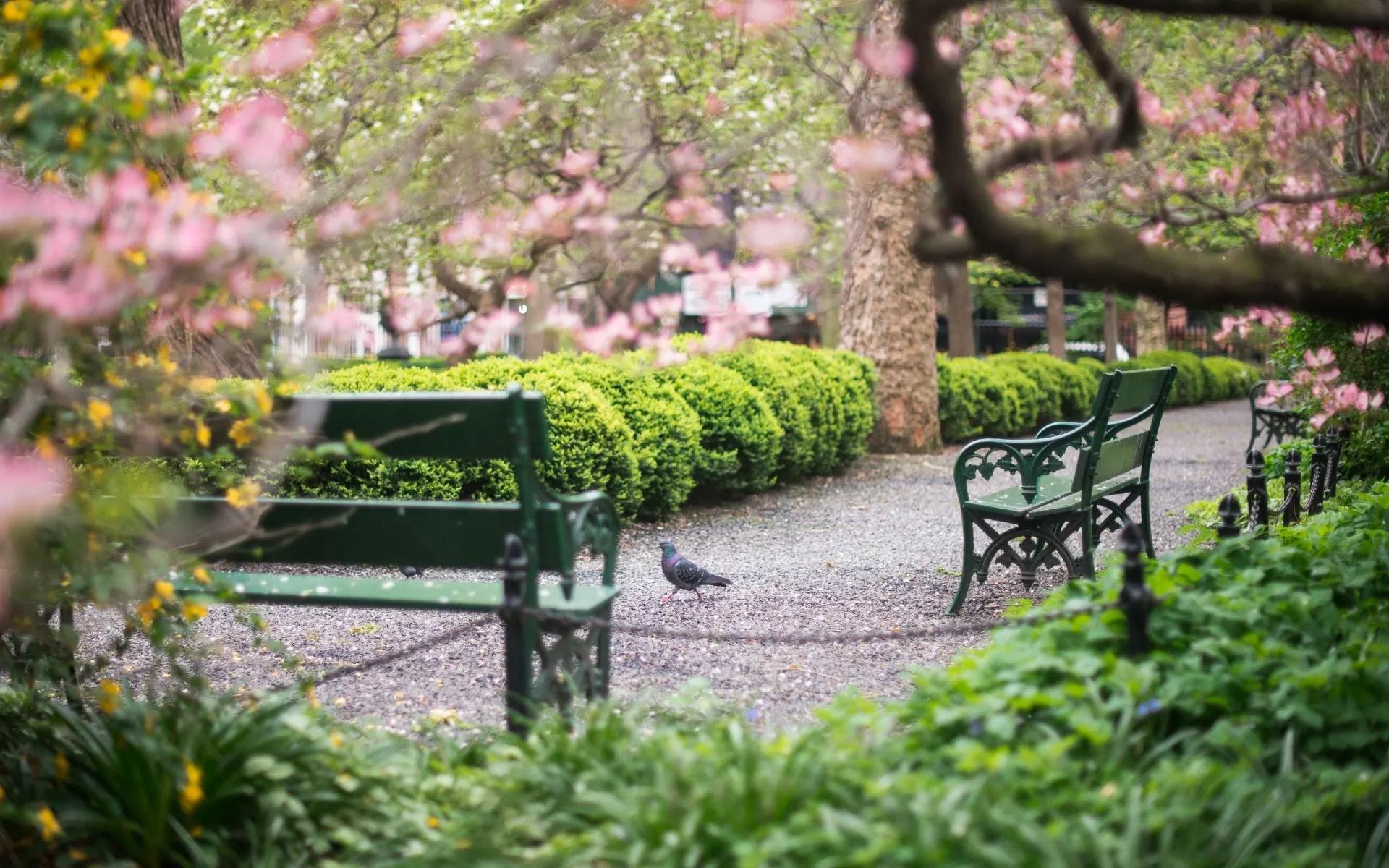 Gramercy Park Real Estate Neighborhood Guide Martin Eiden Team