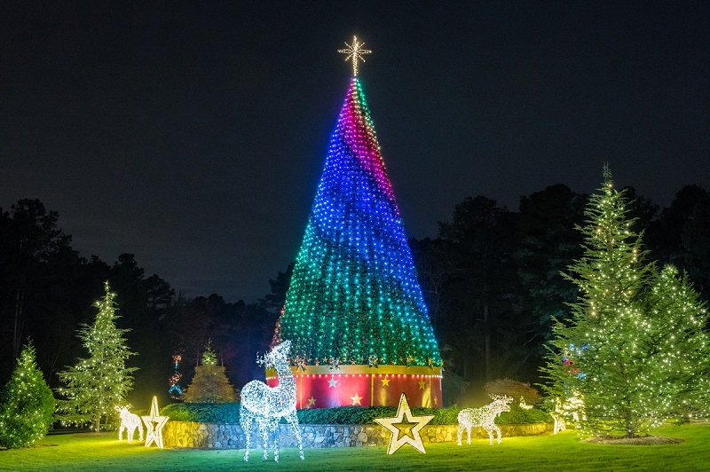 Lake Lanier Christmas Lights 2022 Prices Margaritaville's Lakeside Light Spectacular | Official Georgia Tourism & Travel Website | Explore Georgia.org