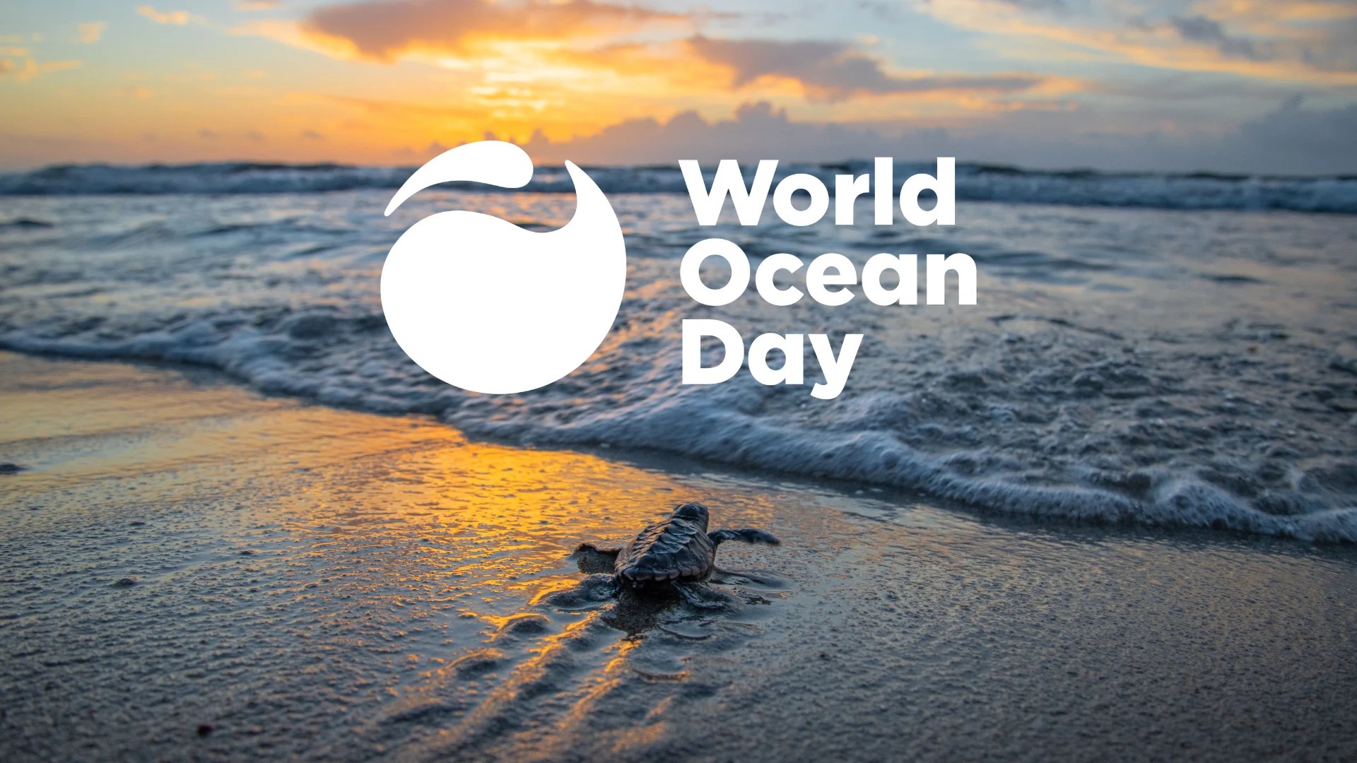 Ocean Solutions Mystic Aquarium