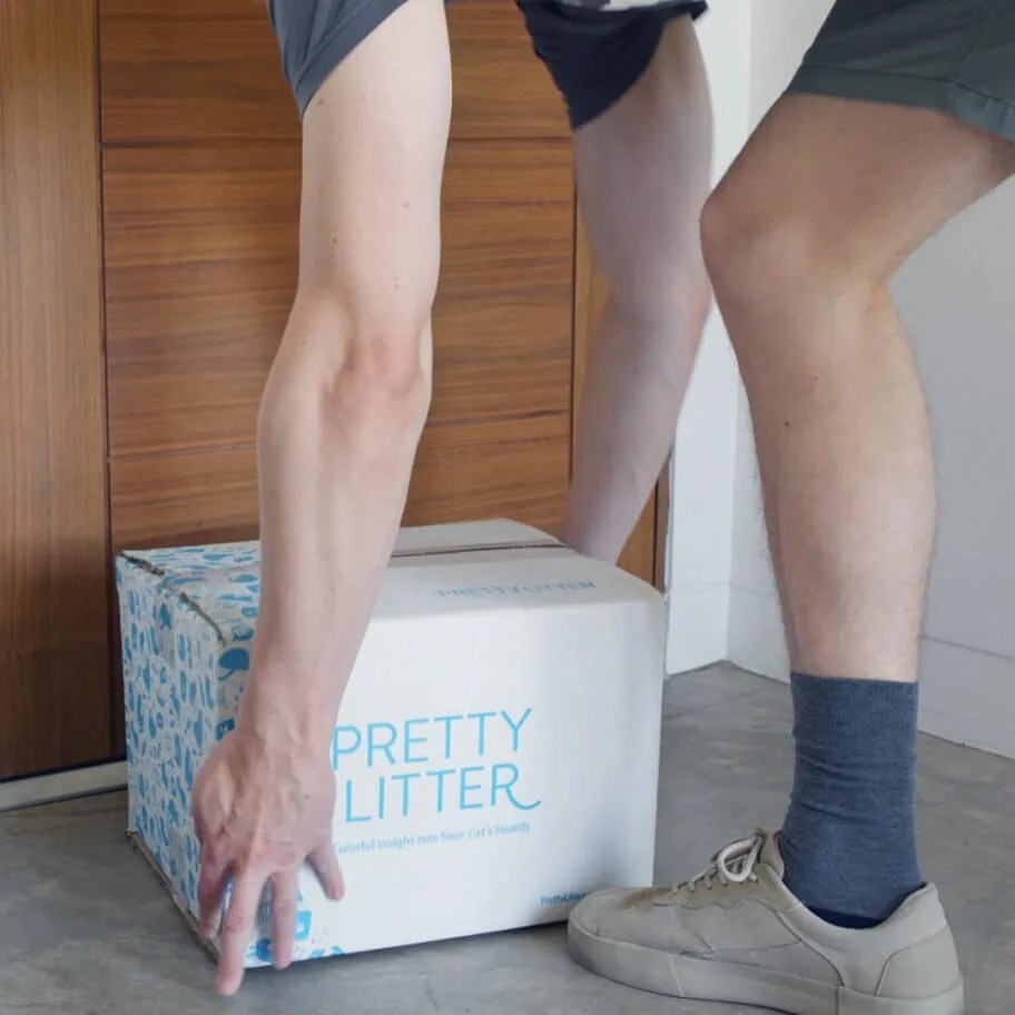 Cat Litter Coupons PrettyLitter