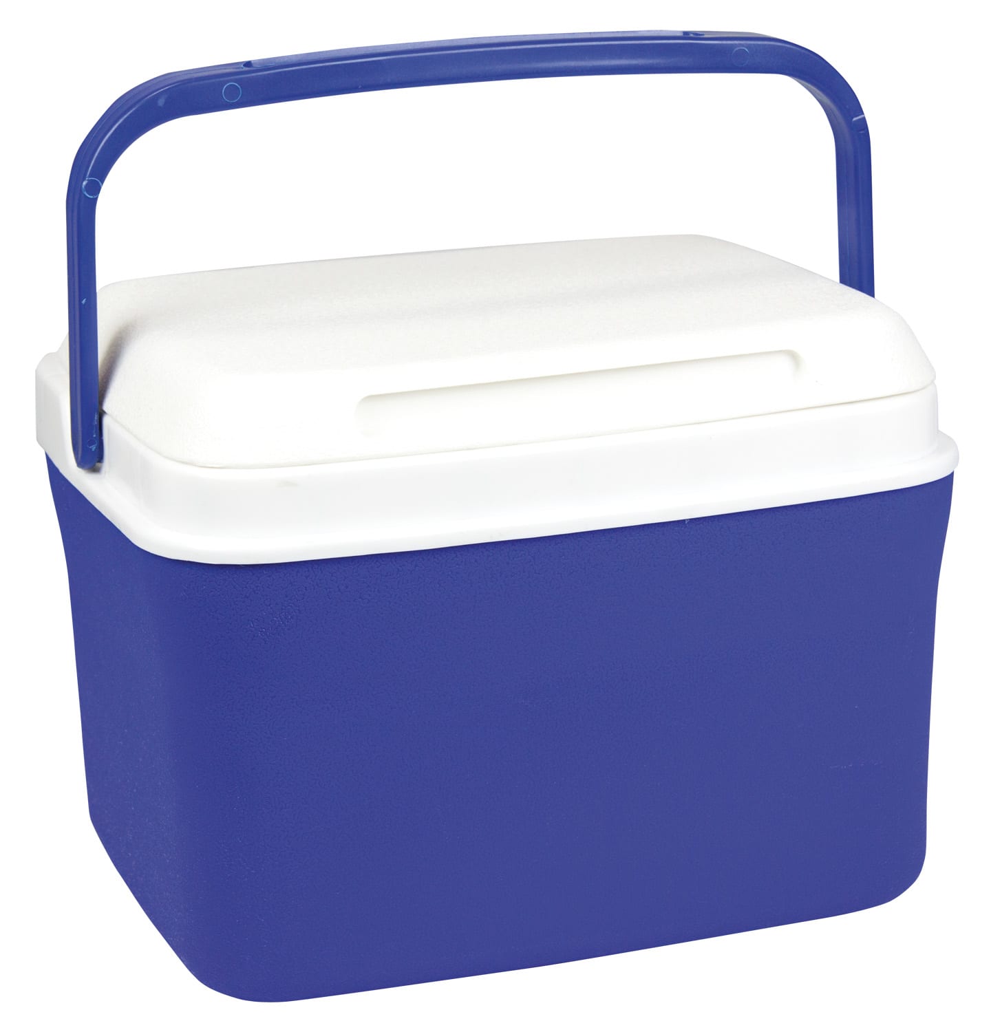 4.5L Blue Cooler Box with Removable Lid and Carry Handle