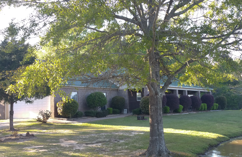 Yogi on the Lake (Pelahatchie, MS) Resort Reviews