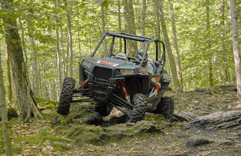 Drummond Island Resort and Conference Center (Drummond Island, MI