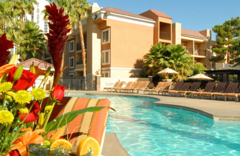 Desert Rose Resort (Las Vegas, NV) Resort Reviews