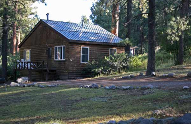 Elk Point Lodge (Bayfield, CO) Resort Reviews