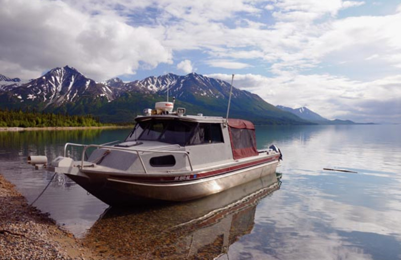 Farm Lodge (Port Alsworth, AK) Resort Reviews