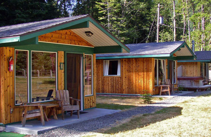 Stone Creek Lodge at Mt. Rainier (Ashford, WA) Resort Reviews