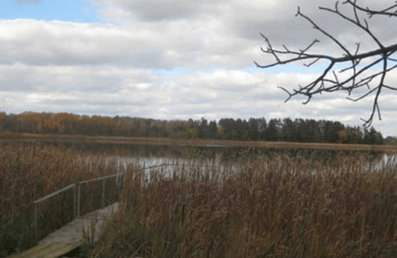 Olive Branch Retreat on Fuller Lake (Grey Eagle, MN) Resort Reviews