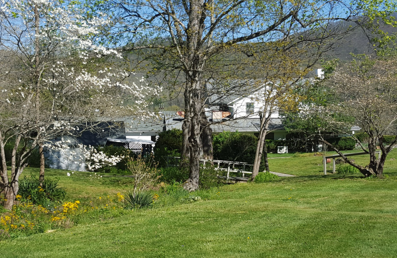 Pisgah View Ranch (Candler, NC) Resort Reviews