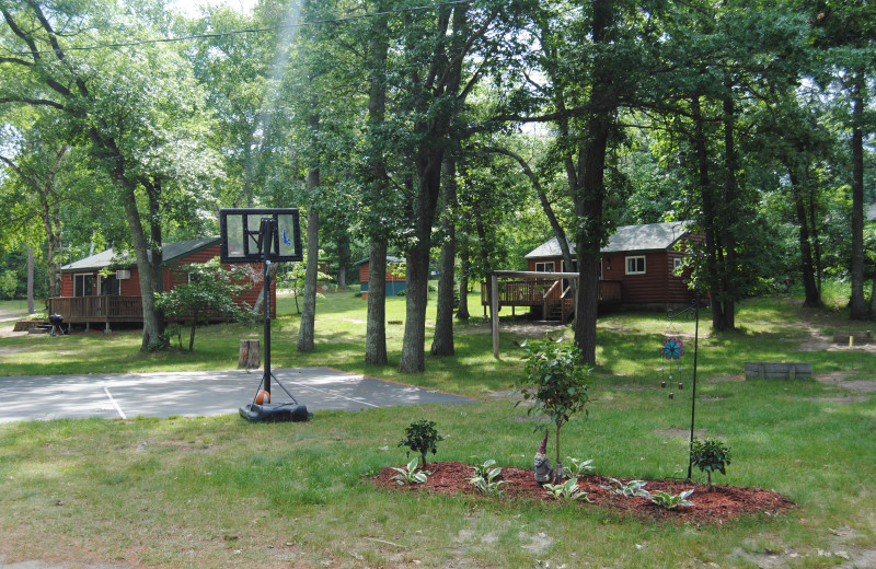 Sandy Pines Resort (Backus, MN) Resort Reviews