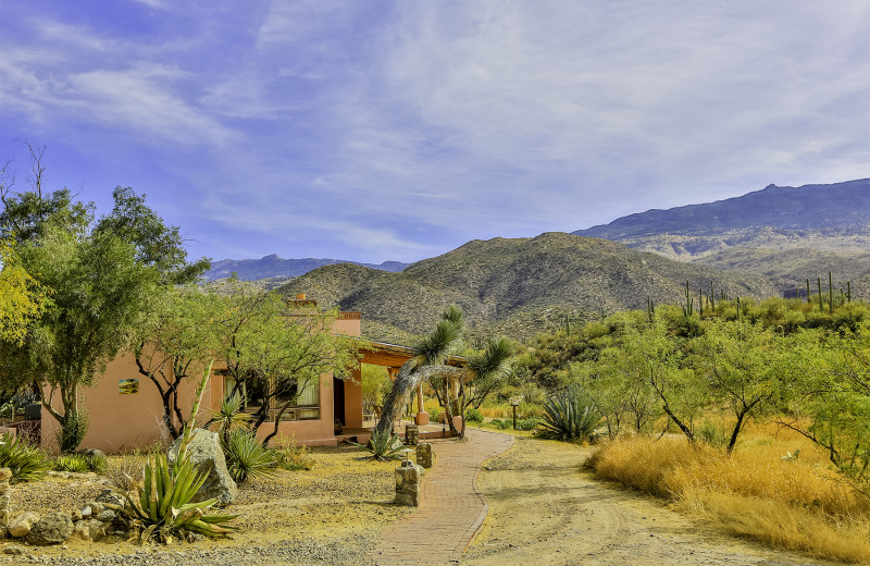 Tanque Verde Ranch (Tucson, AZ) Resort Reviews