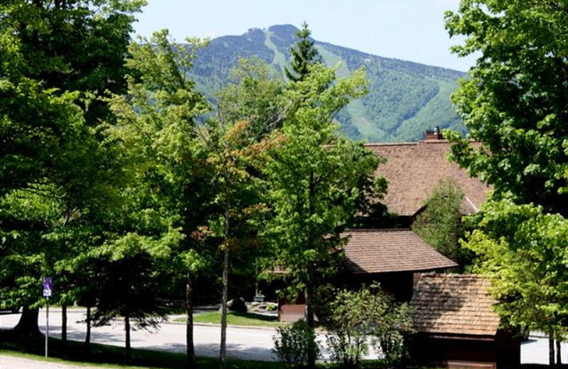 Highridge Condominiums (Killington, VT) Resort Reviews
