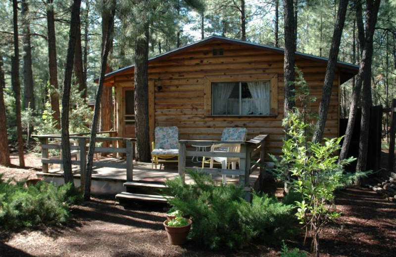 Spring Hill on Rainbow Lake (Lakeside, AZ) Resort Reviews