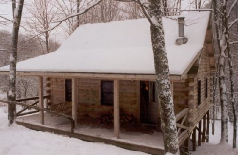 Becky's Creek (Huttonsville, WV) Resort Reviews