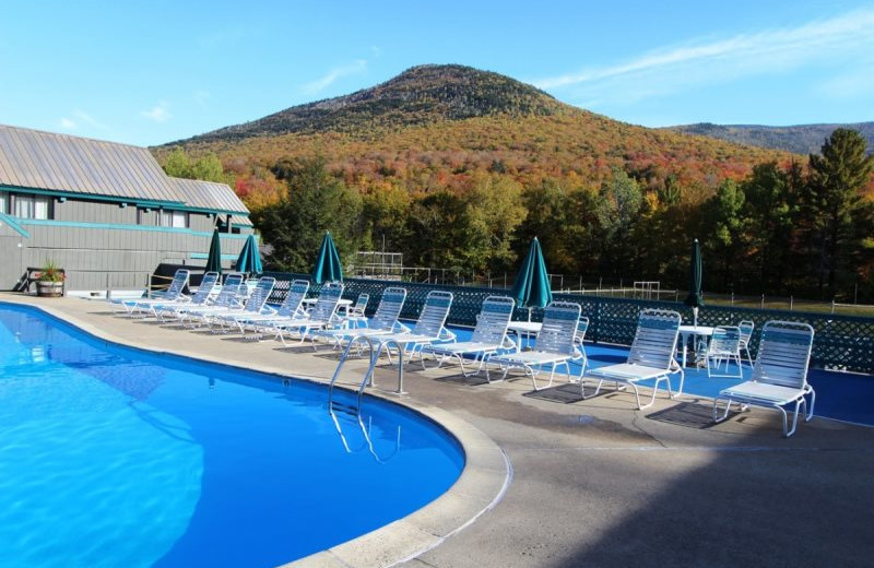 All Mountain Rentals (Campton, NH) Resort Reviews
