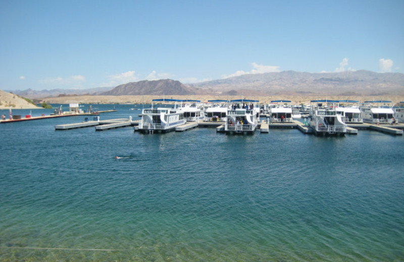 Cottonwood Cove Resort (Searchlight, NV) Resort Reviews