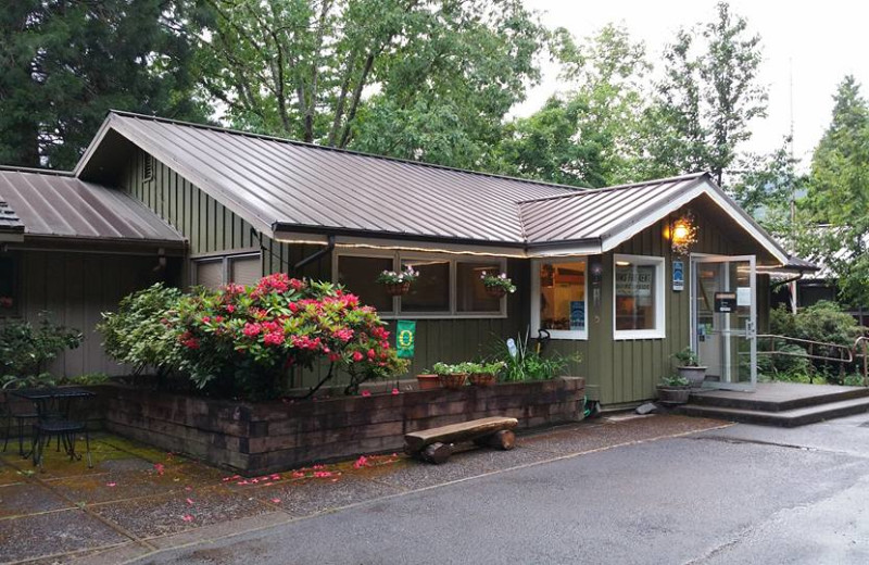 McKenzie River Mountain Resort (Finn Rock, OR) Resort Reviews