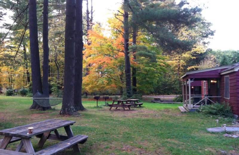 Phoenicia Lodge (Phoenicia, NY) Resort Reviews