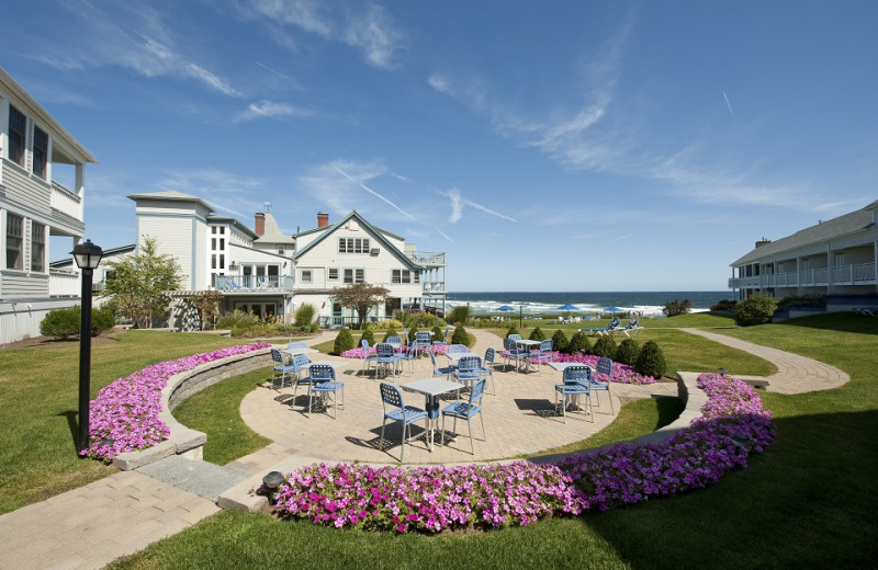 Best Breakfast Restaurants Near Ogunquit Maine Beachmere Inn My XXX