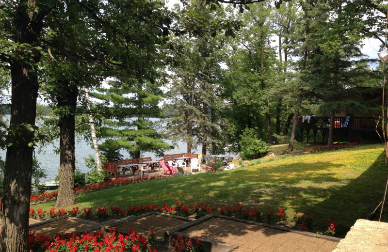 Timberlane Resort (Park Rapids, MN) Resort Reviews