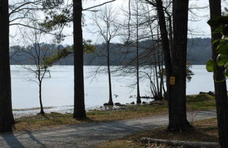 Yogi on the Lake (Pelahatchie, MS) Resort Reviews