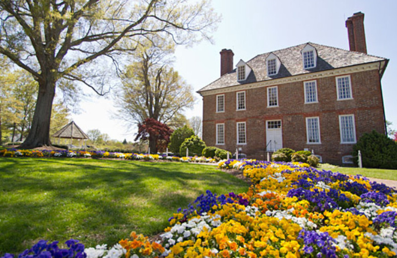 The Historic Powhatan Resort (Williamsburg, VA) Resort Reviews