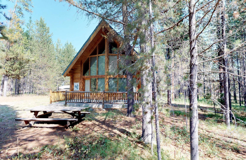 Island Park Vacation Rentals House A Cabin Nestled in the Woods of