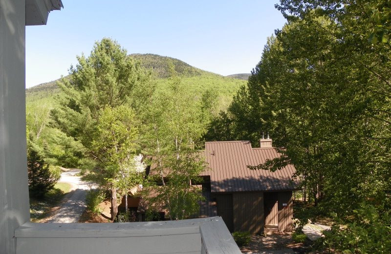 All Mountain Rentals (Campton, NH) Resort Reviews